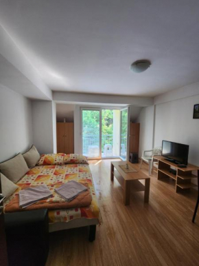 Apartment Joco